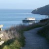 Point Reyes 29